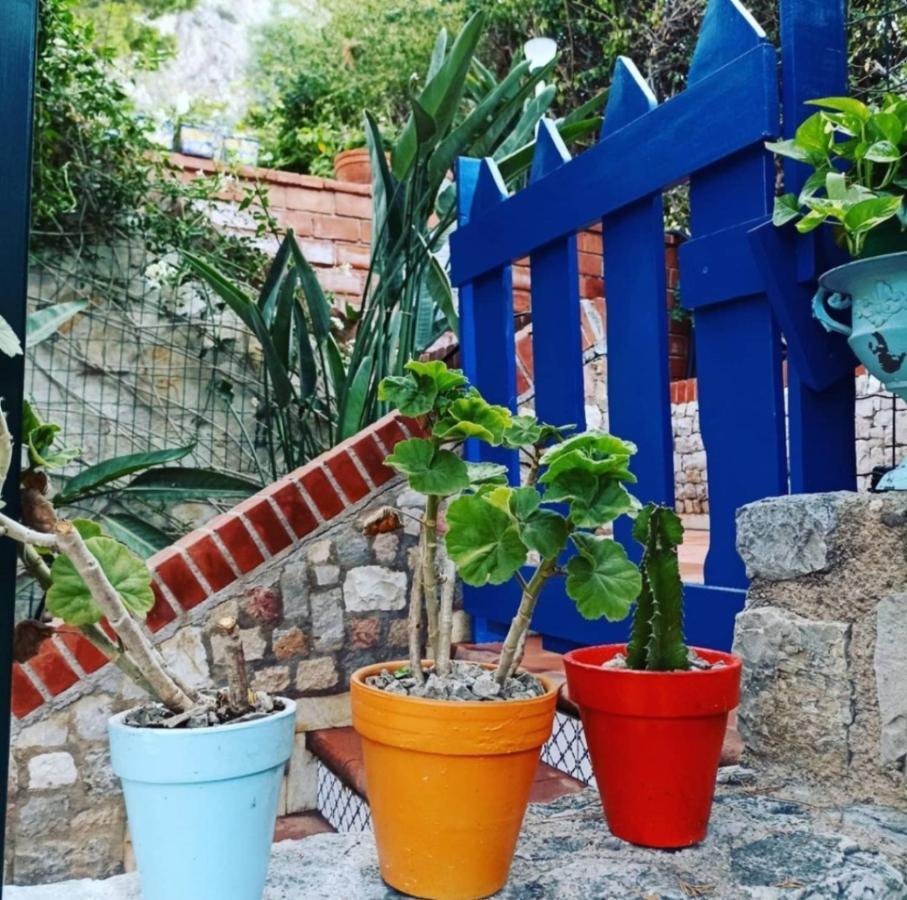Vfh Villa Flavia Eco B&B - 50 Metri Dal Mare Santa Flavia Eksteriør billede